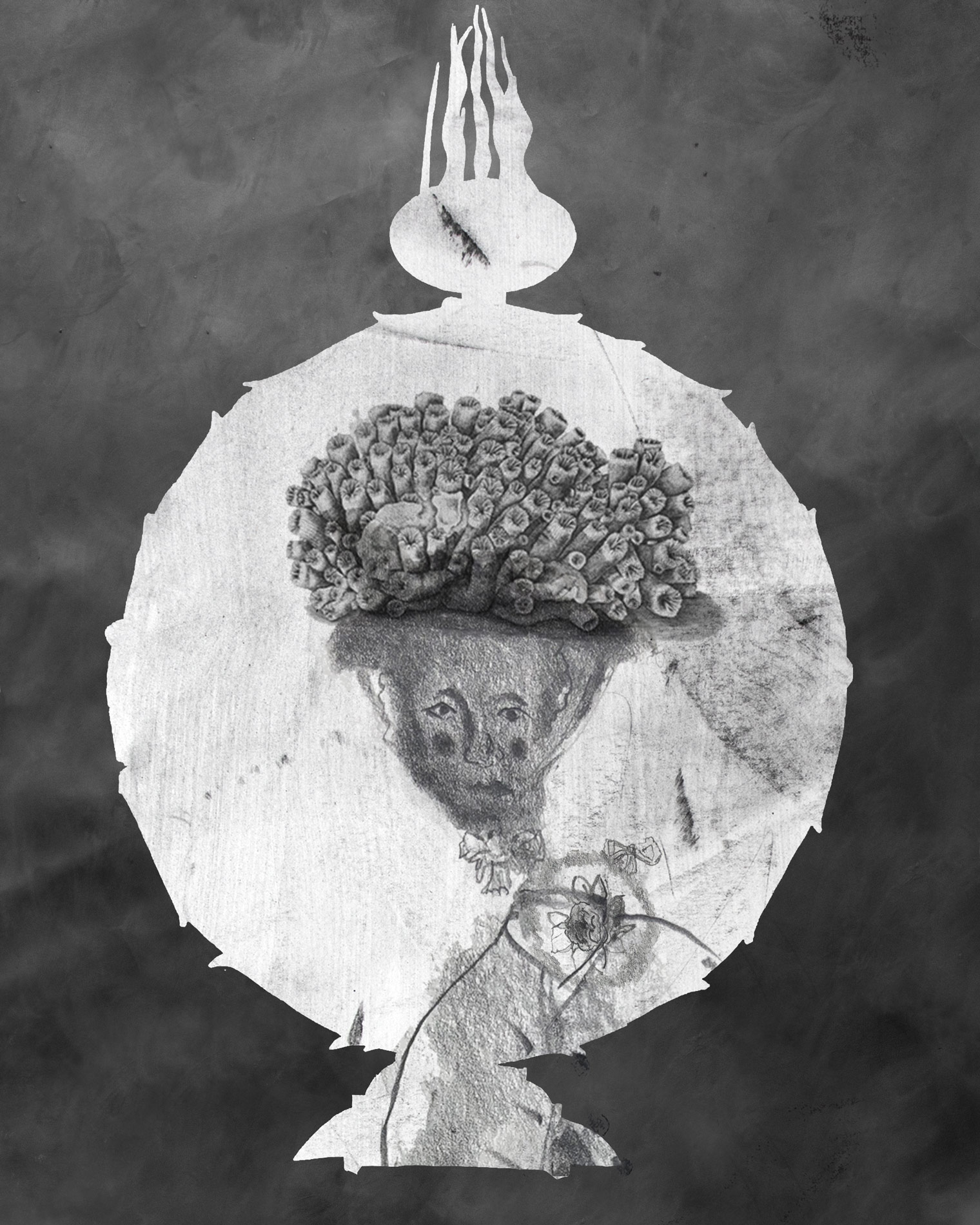 Gorgonian Bonet, Pencil & graphite drawing on paper, 60 cm x 85 cm,  2021 Gorgonian Bonet, Pencil & graphite drawing on paper, 60 cm x 85 cm,  2021